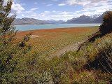 Il lago Argentino